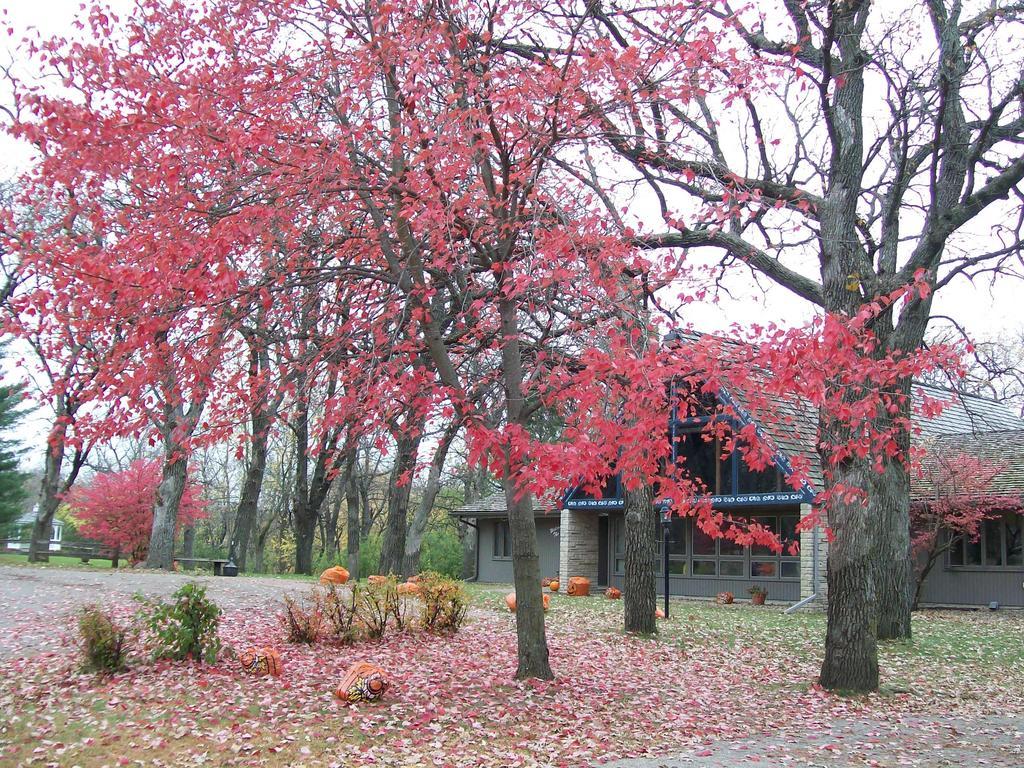 The Lodge Resort Hotel Forest City 외부 사진